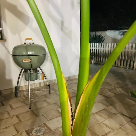 Tweety's Loft بيت للعطل *