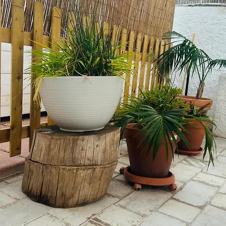 Tweety's Loft كوارتو سانتيلينا