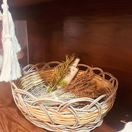 Tweety's Loft