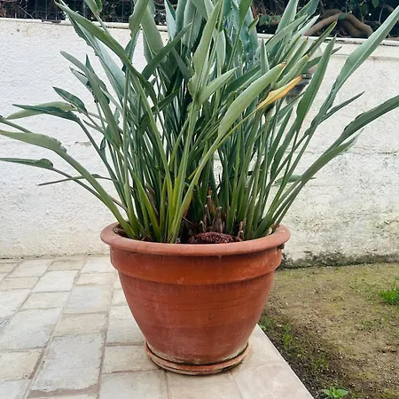 بيت للعطل Tweety's Loft *