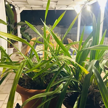 Tweety's Loft Quartu SantʼElena