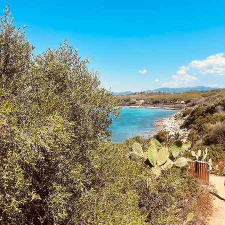 בית נופש Tweety's Loft