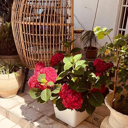 Tweety's Loft בית נופש Quartu SantʼElena